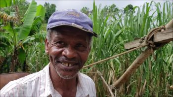 DISCOVERED! 18th Century SUGAR Production ALIVE In Rural Jamaica