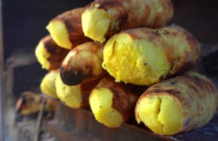 JAMAICAN FOOD : Roast Yam from Melrose Hill in Manchester Jamaica