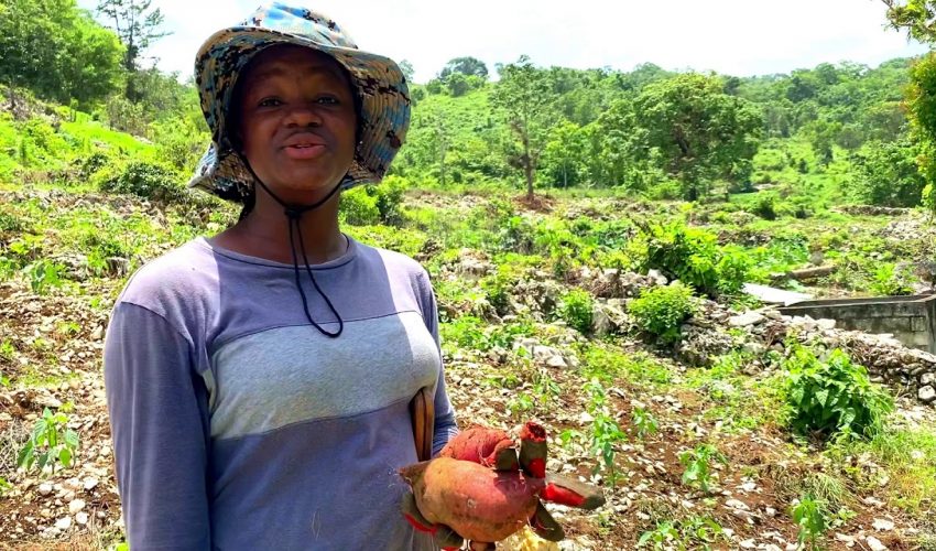 YOUNG FEMALE FARMER IN JAMAICA 2020
