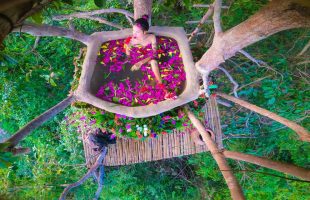Build The Most Beautiful Bath Pool Under Tree House Villa