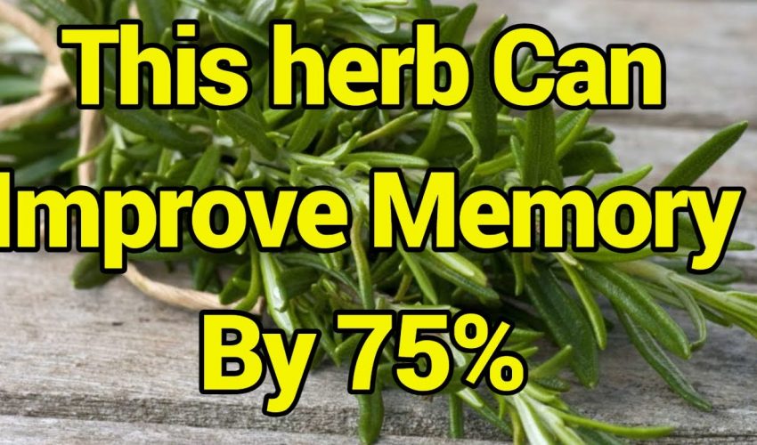 It’s Miracle….This herb Can Improve Memory By 75%