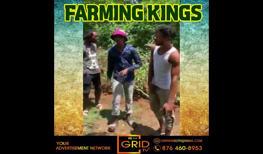 Must Watch! – Jamaican Farmers Making a big Song.