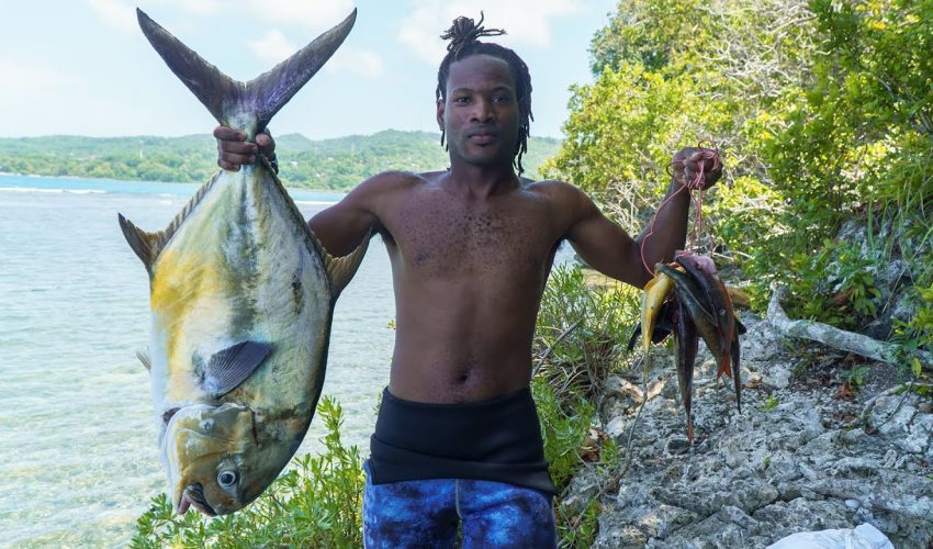 28lb Permit Jack Fish Got Caught Today While Spearfishing | Catch , Clean & Cook-Fishing Adventures