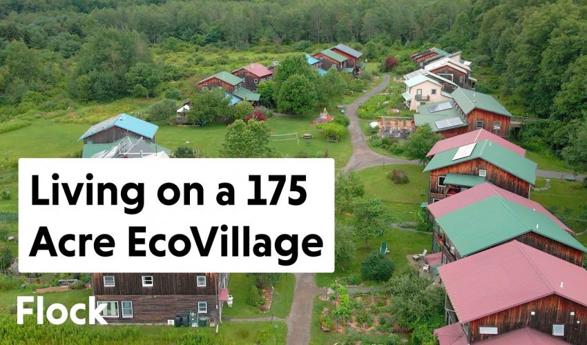 230 People LIVING COMMUNALLY: TOUR of Ithaca EcoVillage