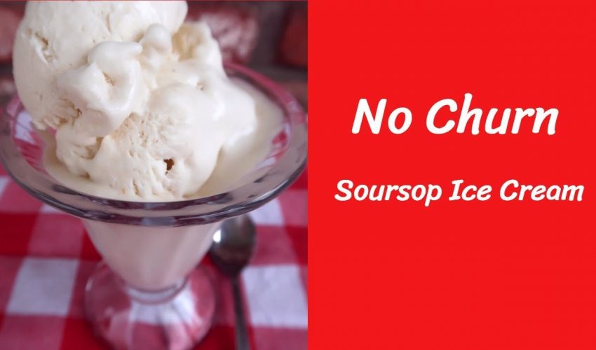Soursop Ice Cream | No Tub Needed