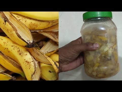 You will never throw away banana peels after watching this