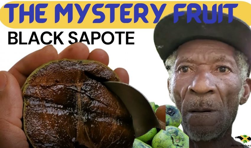The Weird, MYSTERY FRUIT! #BlackSapote 🍈 #ChocolatePuddingFruit