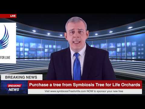 Symbiosis Tree For Life Bursary. Braking News
