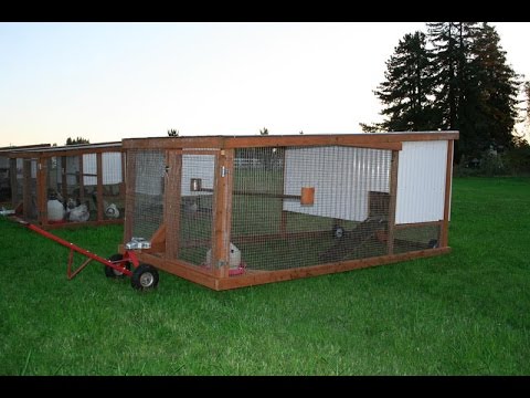 DIY Mobile Chicken Coops BY MOBILE CHICKENS LLC