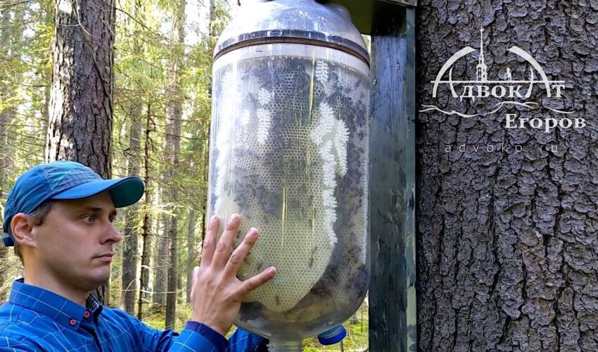Bottle-to-Bottle Honey Production | Contactless Beekeeping