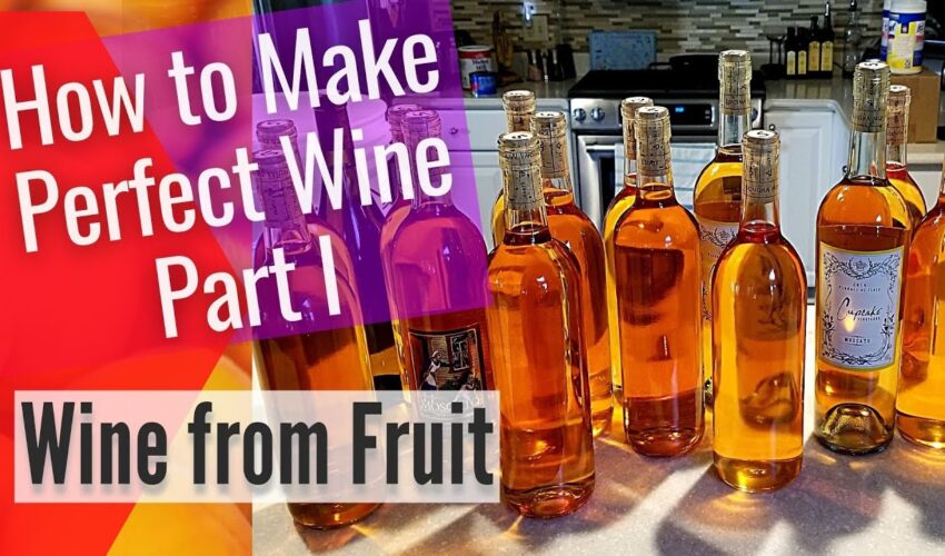 How to Make Wine from Fruit The Only Wine Recipe You Will Ever Need