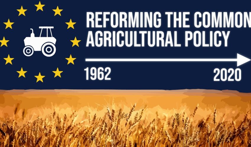Reforming the Common Agricultural Policy