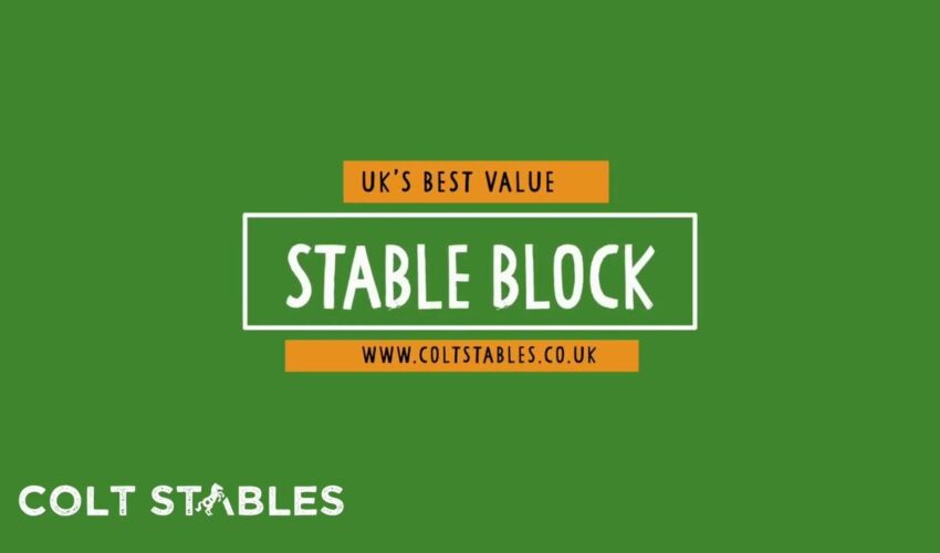 Best Value L Shaped Stable Block