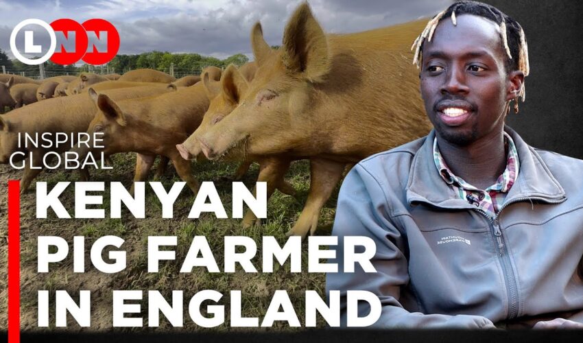How this Kenyan man turned pig farming into a fortune on his 61 acres of land in England | LNN