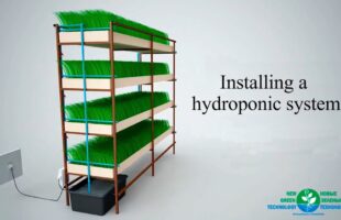 Installing The Hydroponic System